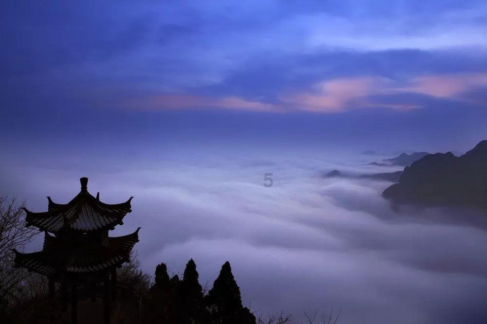 流放骑士