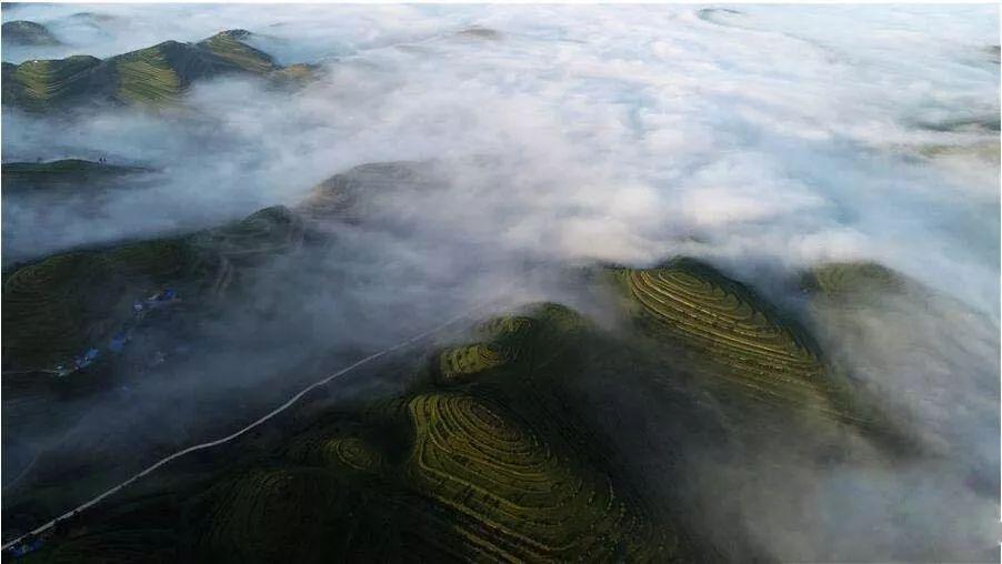 逃出安逸小乡村
