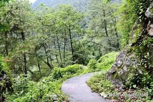 极速赛车找不同