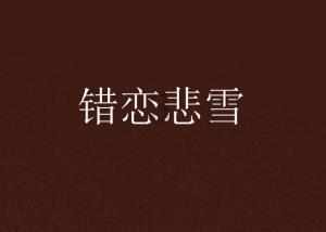 双球转动