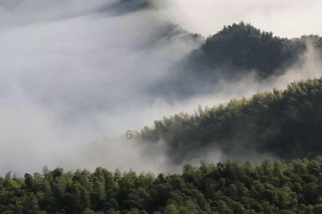 逃离整洁的庭院