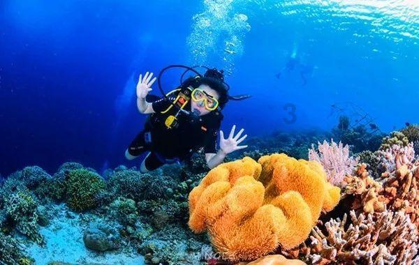 淄博企业积极“占位”上海临港