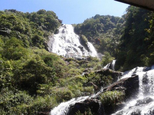 高湖镇新旺村：“小菌棒”推开“致富门”
