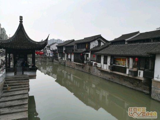 逃离金刚鹦鹉森林