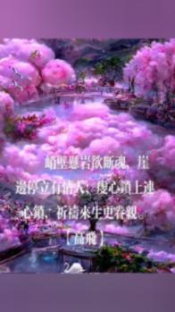 营救迷路的小男孩
